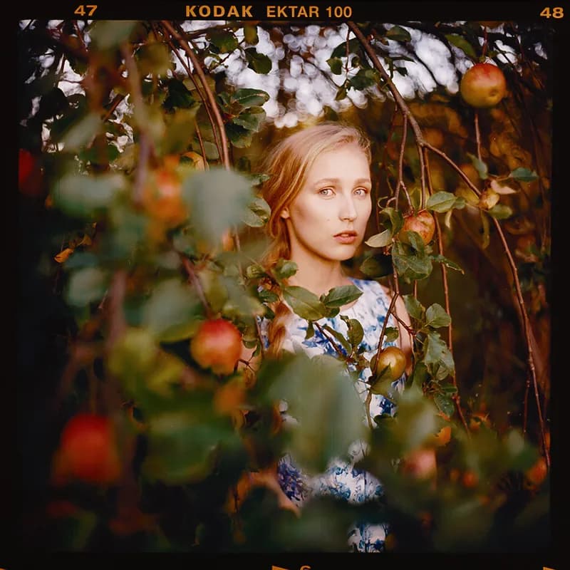 Zdjęcie twardowskimarcin