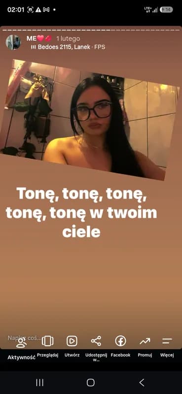 Zdjęcie rysia