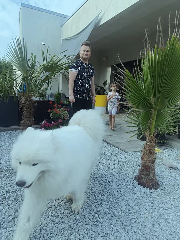 Zdjęcie michaloleksiw