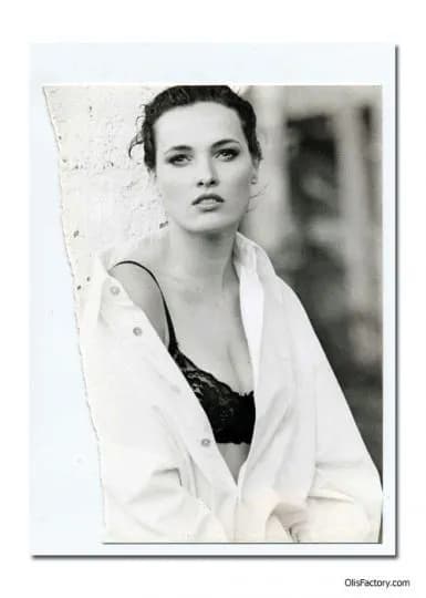 Zdjęcie olisparis