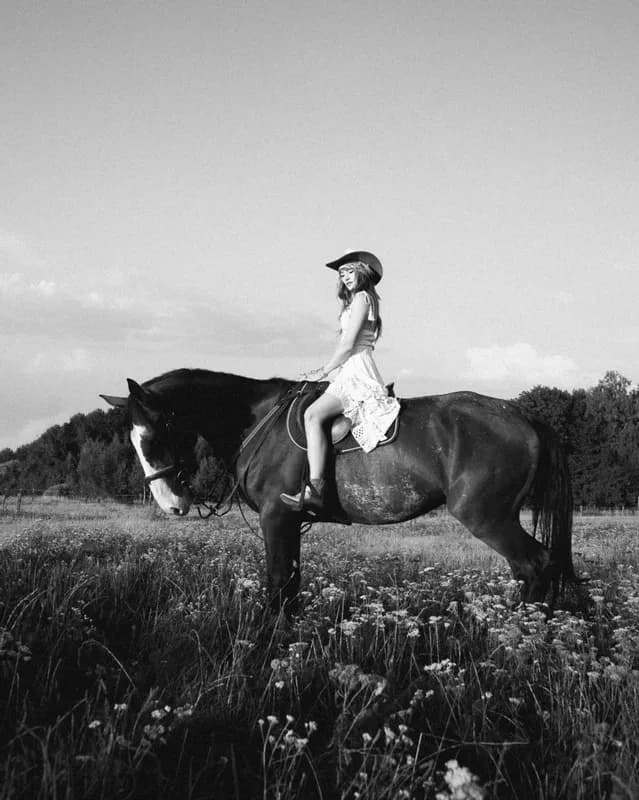 Zdjęcie piggycuttler