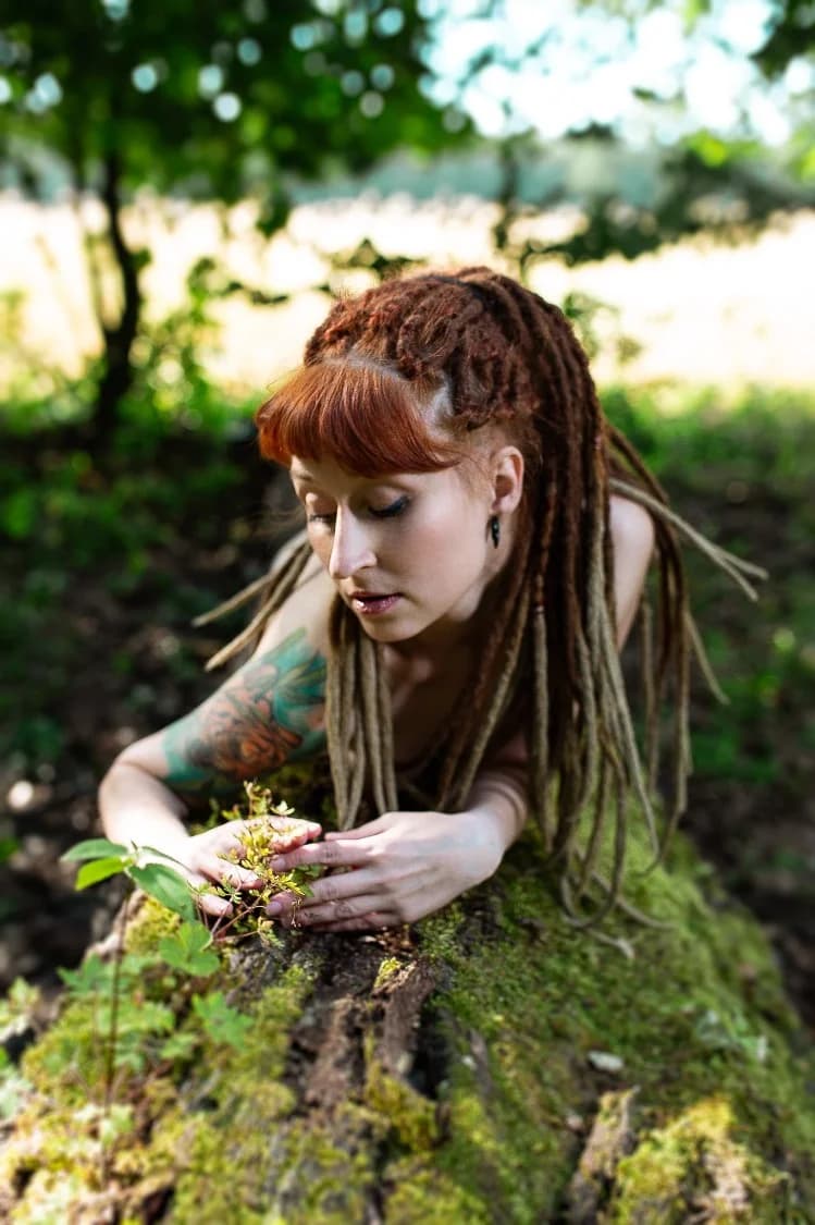 wiewiorkowa - zdjęcie 5