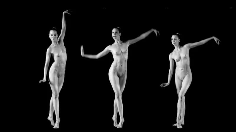 Zdjęcie matisse
