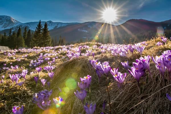 Okładka profilu modelki Eliza I.