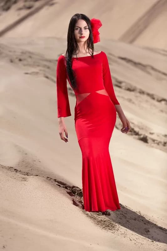 Zdjęcie Konstylencja