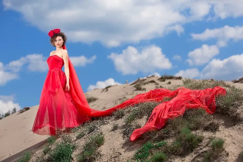 Zdjęcie Konstylencja