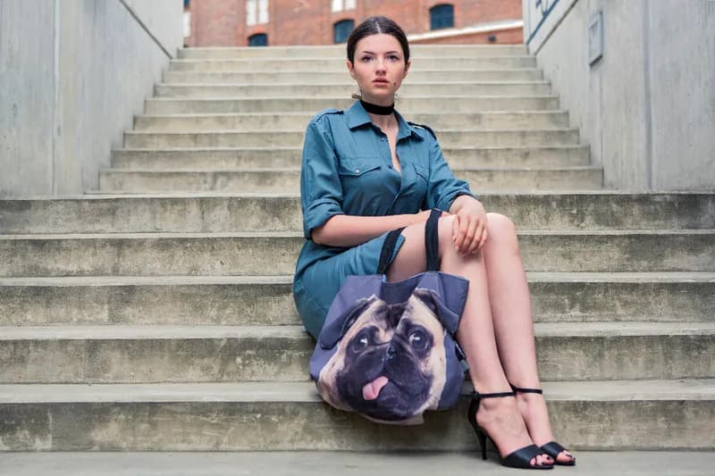 Zdjęcie Konstylencja