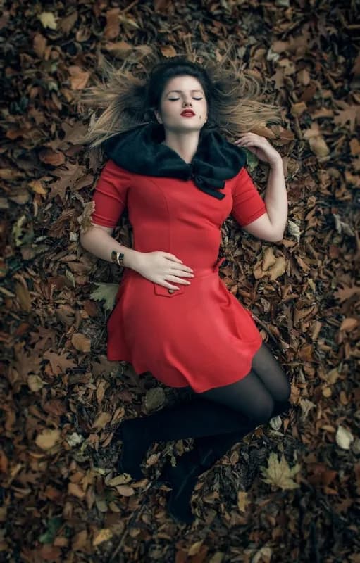 Zdjęcie Konstylencja