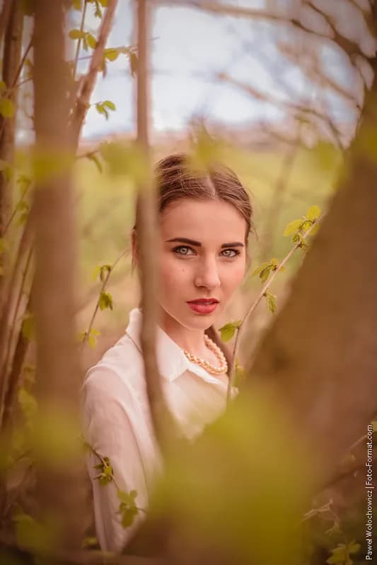Zdjęcie mecc