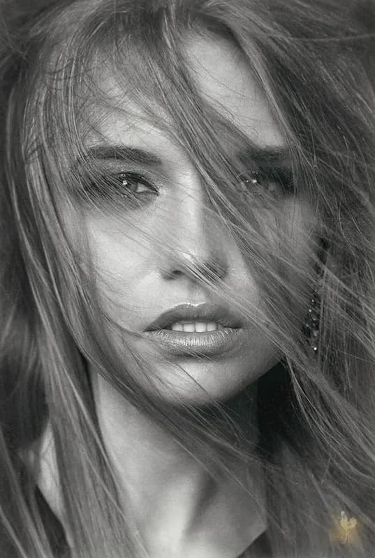 Zdjęcie ROOSTER PHOTOGRAPHY