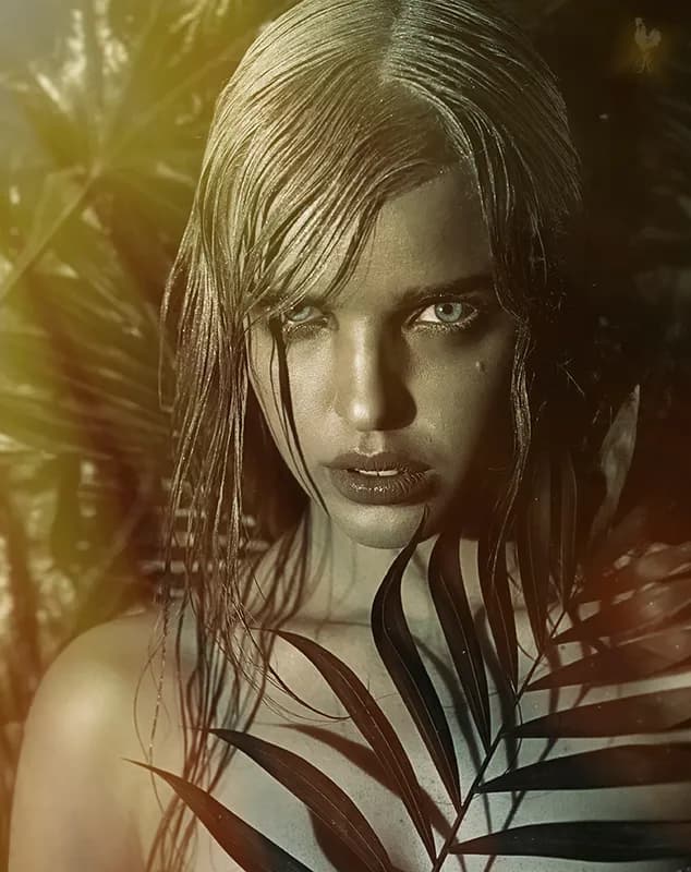 Zdjęcie ROOSTER PHOTOGRAPHY