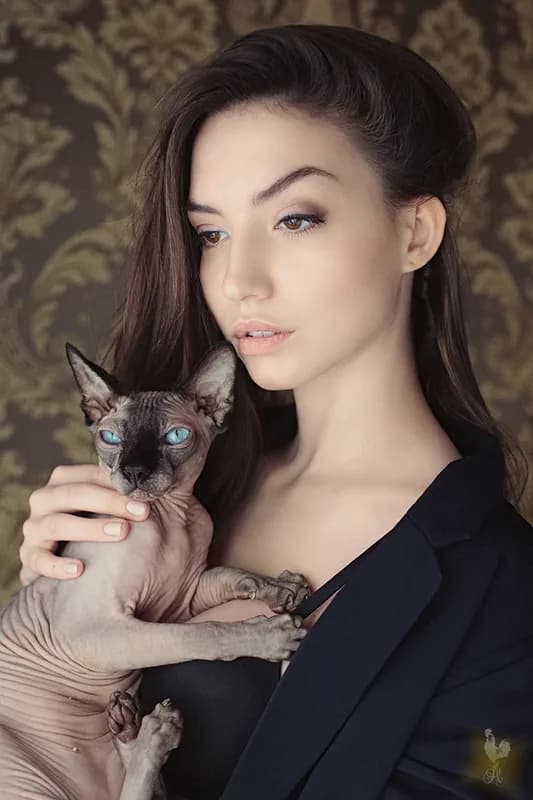 Zdjęcie ROOSTER PHOTOGRAPHY