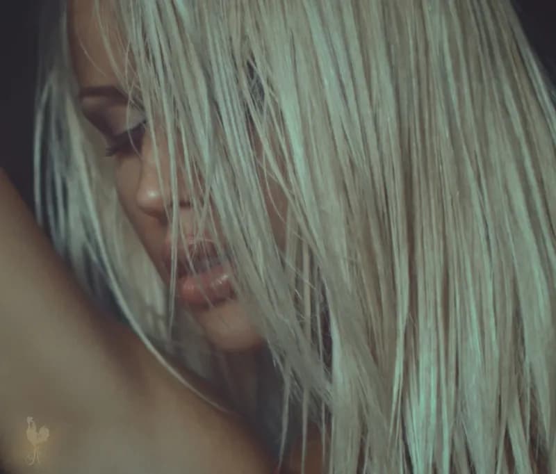 Zdjęcie ROOSTER PHOTOGRAPHY