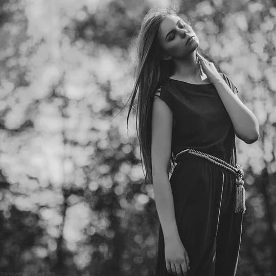 Zdjęcie pasztetowa15