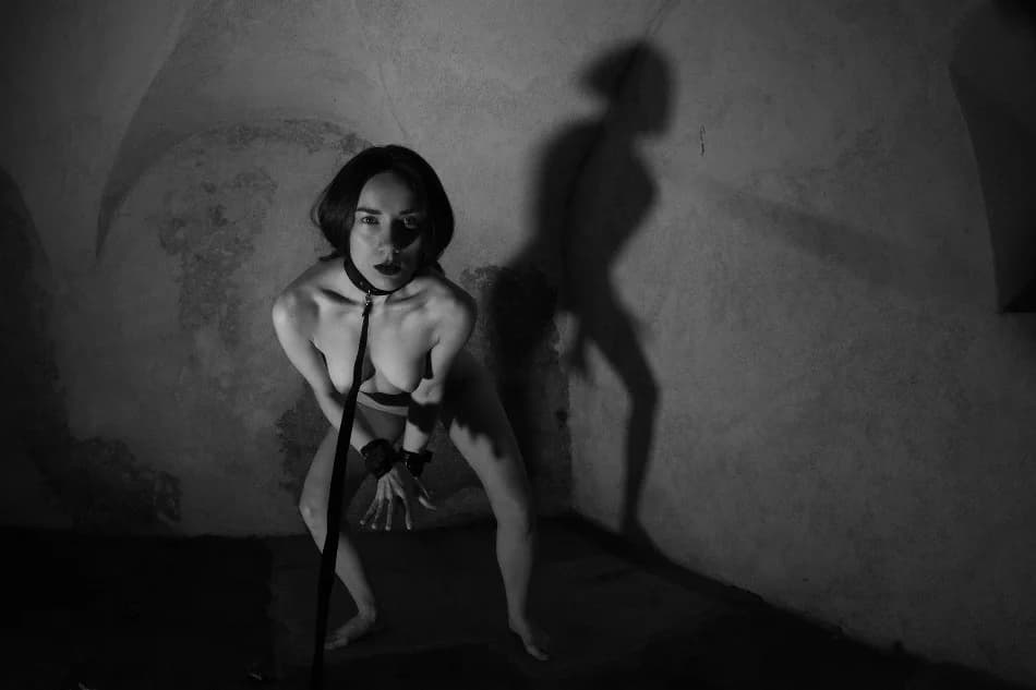 Wombatka - zdjęcie 4