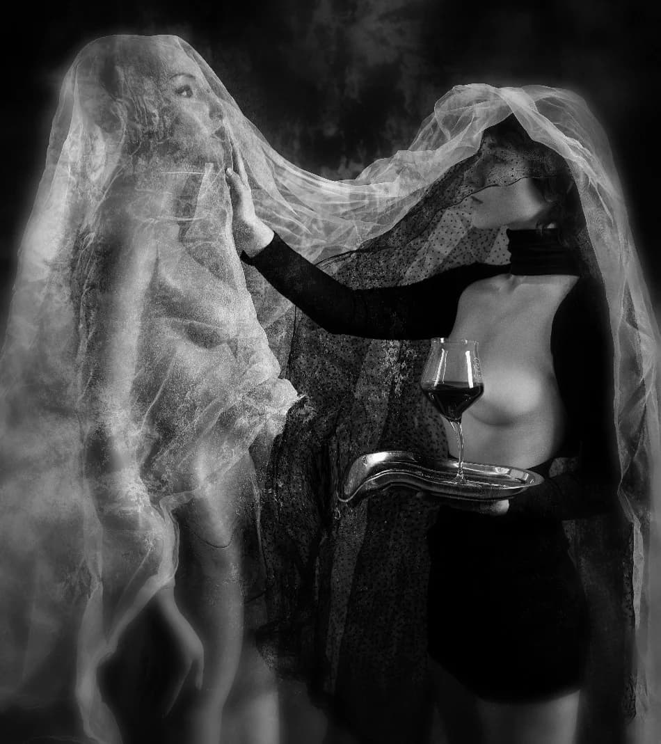 Wombatka - zdjęcie 3