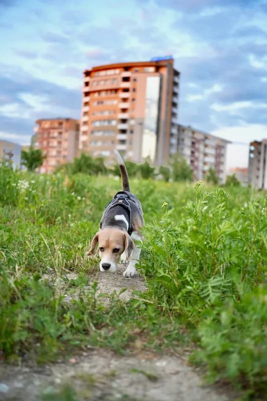 Zdjęcie fotograf_poznan_jaroslaw