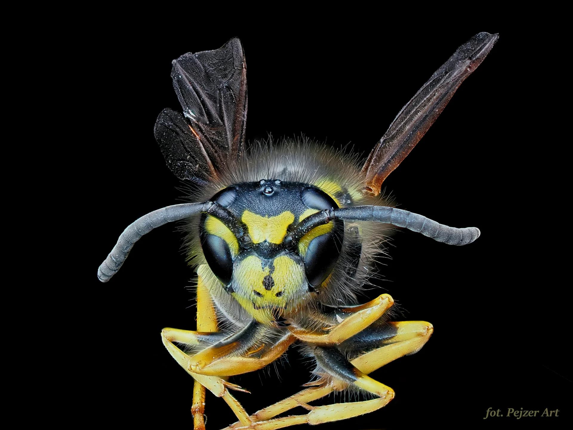 Zdjęcie profilowe fotografa Pejzer_Art z Kościerzyna