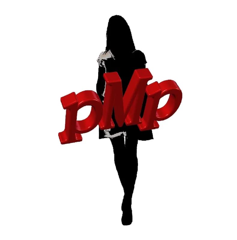 Zdjęcie PMP